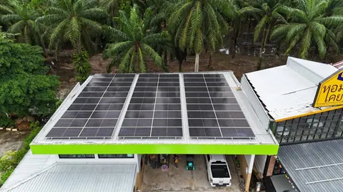 แผงโซล่าเซลล์ติดตั้งบนโครงริมถนนกลางสวนปาล์ม โดยทีมช่าง 19Energy